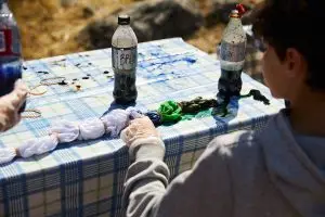 Framfylkingen Hvaler - Web Use - 15